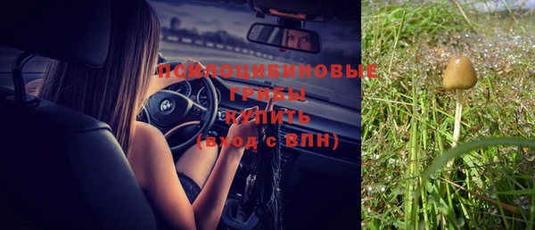 стаф Армянск