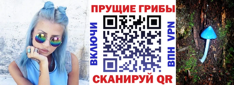 Купить Белогорск Галлюциногенные грибы прущие грибы